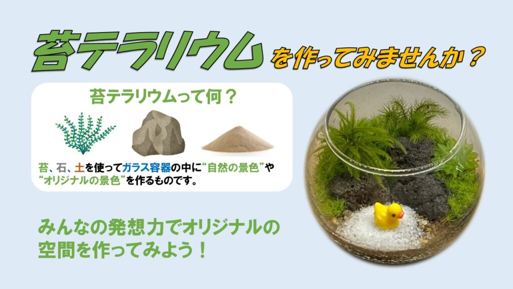 【開催終了】苔で作る小さな癒しの森『苔テラリウムワークショップ』