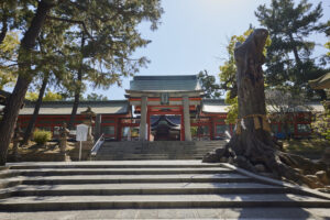 縁起物】住吉大社、出雲大社、金生稲荷神社他 （春のつつじと