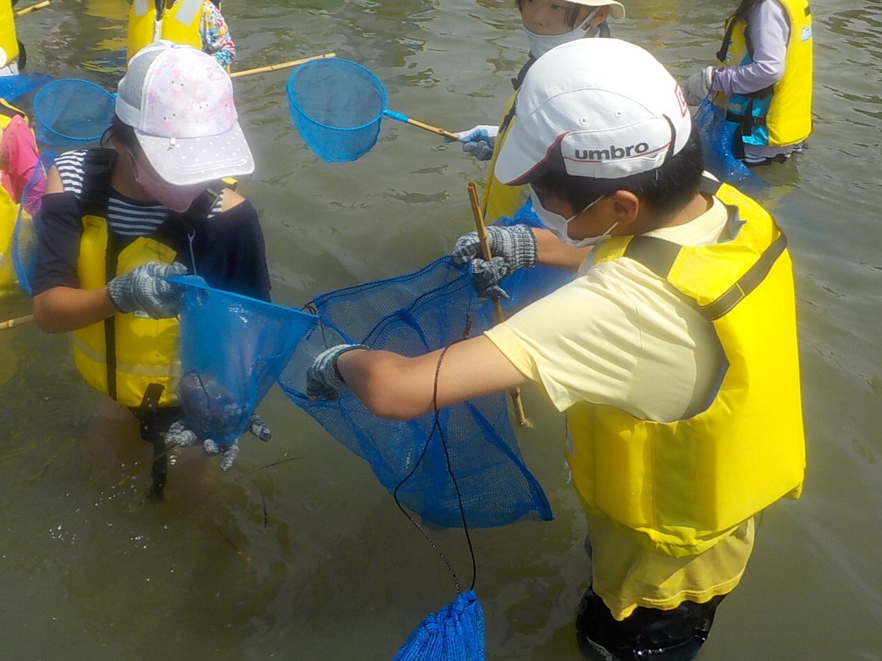 大阪湾の魚を網で捕まえて！「すだて遊び体験」<br>パンフレットNo.19